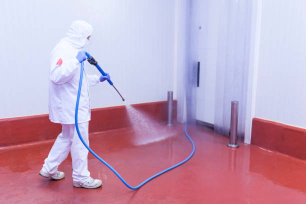 Best Building Exterior Washing  in Galax, VA